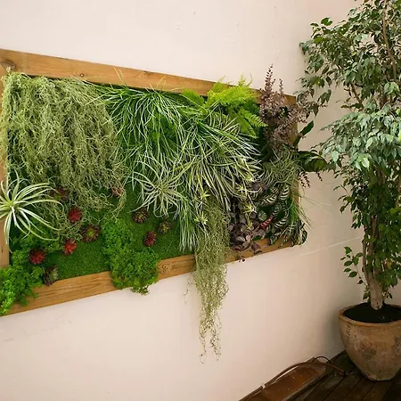 ゲストハウス ブラン ゲスト ハウス バルセロナ