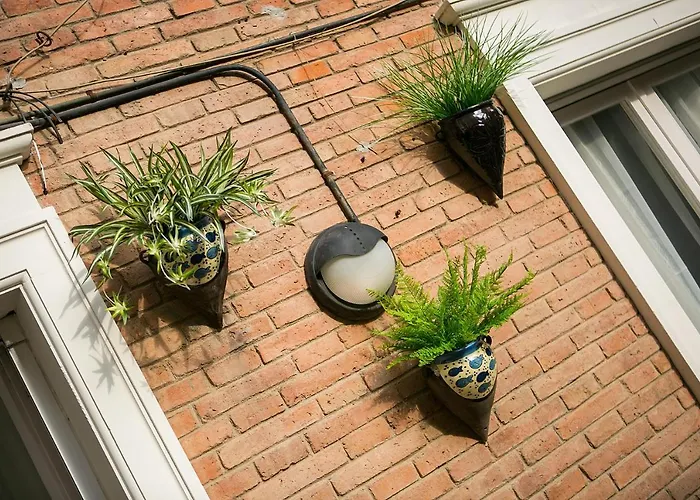 Maison d'hôtes Blanc