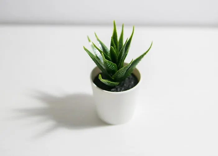 Maison d'hôtes Blanc 3*